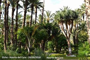 19 ELCHE HUERTO DEL CURA (41)